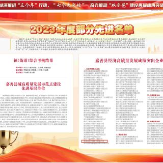 載譽(yù)啟新程！熱烈祝賀邊鋒上榜“嘉善縣經(jīng)濟(jì)高質(zhì)量發(fā)展成績(jī)突出企業(yè)”