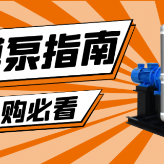 收下這份隔膜泵采購指南，助你龍年“泵”發(fā)生產(chǎn)活力